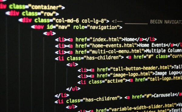 Maßgeschneidertes WordPress-Plugin: wann sich Custom-Entwicklung wirklich lohnt